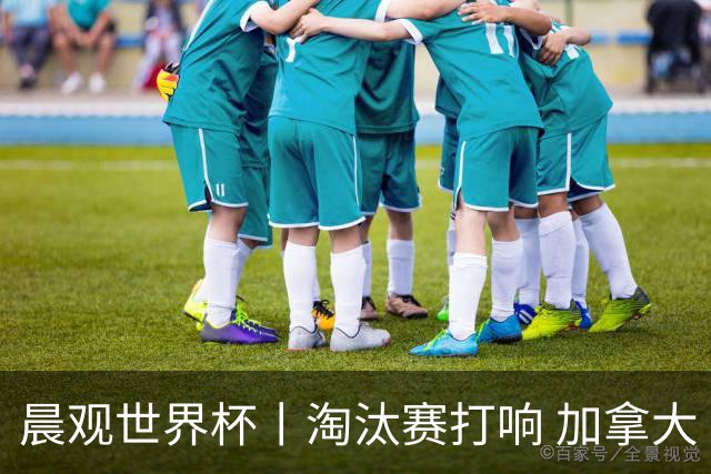 晨观世界杯丨淘汰赛打响 加拿大“绝杀”首进16强